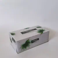 دستمال کاغذی عمده و جزئی|مواد شوینده و دستمال کاغذی|الوند, |دیوار