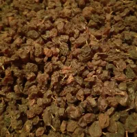 کشمش|خوردنی و آشامیدنی|باغستان, |دیوار