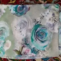 کفش مارک ecco  و چادر|کیف، کفش، کمربند|تبریز, |دیوار