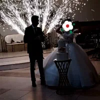 دیجی خانم و دیجی اقا تشریفات