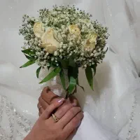 هم نشین زندگی