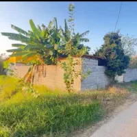 ویلاباغ۵۷۰متر،سندتکبرگ جواز ساخت پایان کار،۴۰متربر|فروش خانه و ویلا|فریدون‌کنار, |دیوار