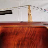 ویلنسل - cello|ویولن|مشهد, موسوی قوچانی|دیوار