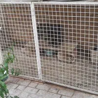 قفس فنس آهنی مفت