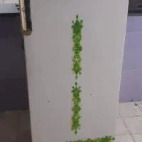 یخچال|یخچال و فریزر|ایرانشهر, |دیوار