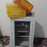 دستگاه جوجه کشی مشهد برق ۸۴ تایی|لوازم جانبی حیوانات|مشهد, طرق|دیوار