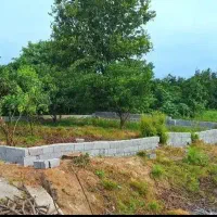 زمین با مجوز ساخت/۲۰۰متر بافت مسکونی سندیکای برگی|فروش زمین و ملک کلنگی|آستانه سرا, |دیوار