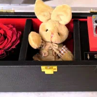 باکس گل و عروسک موزیکال