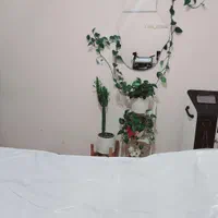 لیزربانوان