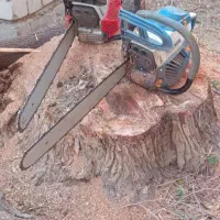 برشکاری و قطع درختان با اره بنزینی