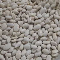 لوبیاخوشپخت