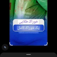 استارتر بره