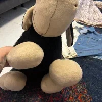 یک عدد عروسک خارجی سایز متوسط|اسباب‌‌بازی|بابلسر, |دیوار