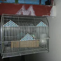 قفس سهره و قفس قناری|لوازم جانبی حیوانات|زرقان, |دیوار