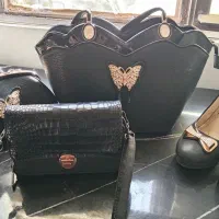 کیف و کفش مجلسی