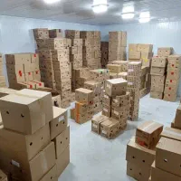 بستنی به قیمت کارخانه ویژه اربعین