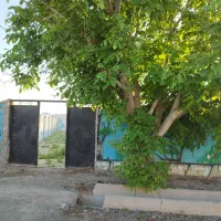 باغچه چسب محل ۳۴۰ متر ملک دونبش