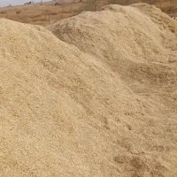 خریدار کاه هستم چک۳ ماهه کیلویی ۱۹ تحویلی چک معتبر