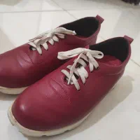 کفش سایز 38|کیف، کفش، کمربند|گنبد کاووس, |دیوار