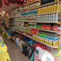 سمپاشی ساس سوسک کنه موریانه 100تضمینی|خدمات نظافت|مشهد, طلاب|دیوار
