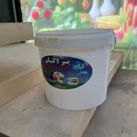 ۲۰۰عددموجودهستش باقیمت مناسب|ظروف نگهدارنده، پلاستیکی، یک‌بارمصرف|قشم, |دیوار