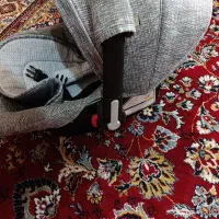 کریر|اسباب و اثاث بچه|شیراز, پودنک|دیوار