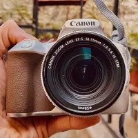 دوربین Canon 250D Silver|دوربین عکاسی و فیلم‌برداری|تهران, ایرانشهر|دیوار