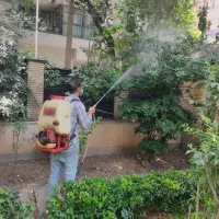 کلیه خدمات باغبانی هرس درختان گیاه تعویض خاک گلدان|خدمات باغبانی و درختکاری|تهران, تجریش|دیوار
