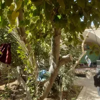 سه اتاق ،همکف،دهنو ،