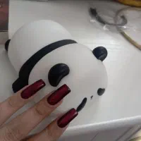 چراغ سیلیکونی پاندا