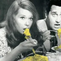 کار خدماتی در غذاخوری