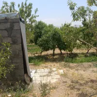 زمین کشاورزی پر ثمر
