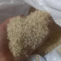 برنج کامفیروزی