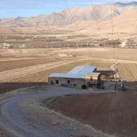 اجاره-مرغداری-8000-قطعه-ای