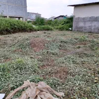 زمین مسکونی سند تک برگ در رودسر|فروش زمین و ملک کلنگی|رودسر, |دیوار