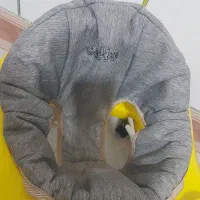 فروش گهواره روئروک و پشه بند در حد نو|تخت و صندلی بچه|فولادشهر, B8|دیوار