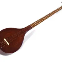 ۳تار اریا حرفه ای
