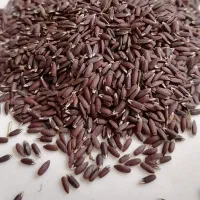 کنجد سیاه