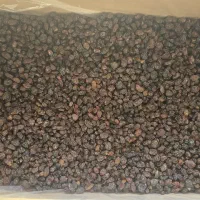 کشمش پلویی آفتاب خشک|خوردنی و آشامیدنی|تاکستان, |دیوار