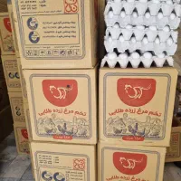 تخم مرغ شانه تک به صورت عمده|خوردنی و آشامیدنی|تهران, مجیدیه|دیوار