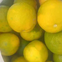 نارنج فروشی|خوردنی و آشامیدنی|احمدسرگوراب, |دیوار