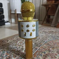 اسپیکر/میروفون