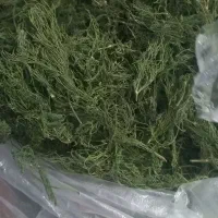 سبزی خشک نعنا شنبلیله و شوید ترخون ریحون