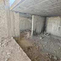 اسکلت-گردخون