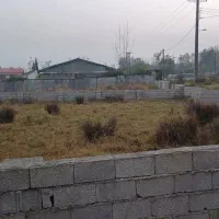 فروش ۴۲۰ متر زمین‌ روستای مسکونی با پروانه|فروش زمین و ملک کلنگی|رضوانشهر, |دیوار