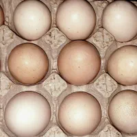 محصولات خشکبار درجه یک خوانسار|خوردنی و آشامیدنی|تهران, دولاب|دیوار