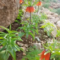 حفرچاه با کلیه وسایل