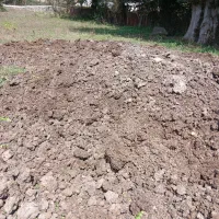 فروش کود گاوی و سوخته بسیار عالی