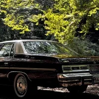 اجاره ماشین کلاسیک برای عروسی،فرمالیته و ...|خودرو اجارهای|نوشهر, |دیوار