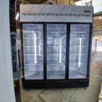 فریزر انجمادی و زیر صفری ایستاده